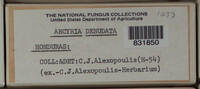 Image Associated With the Occurence